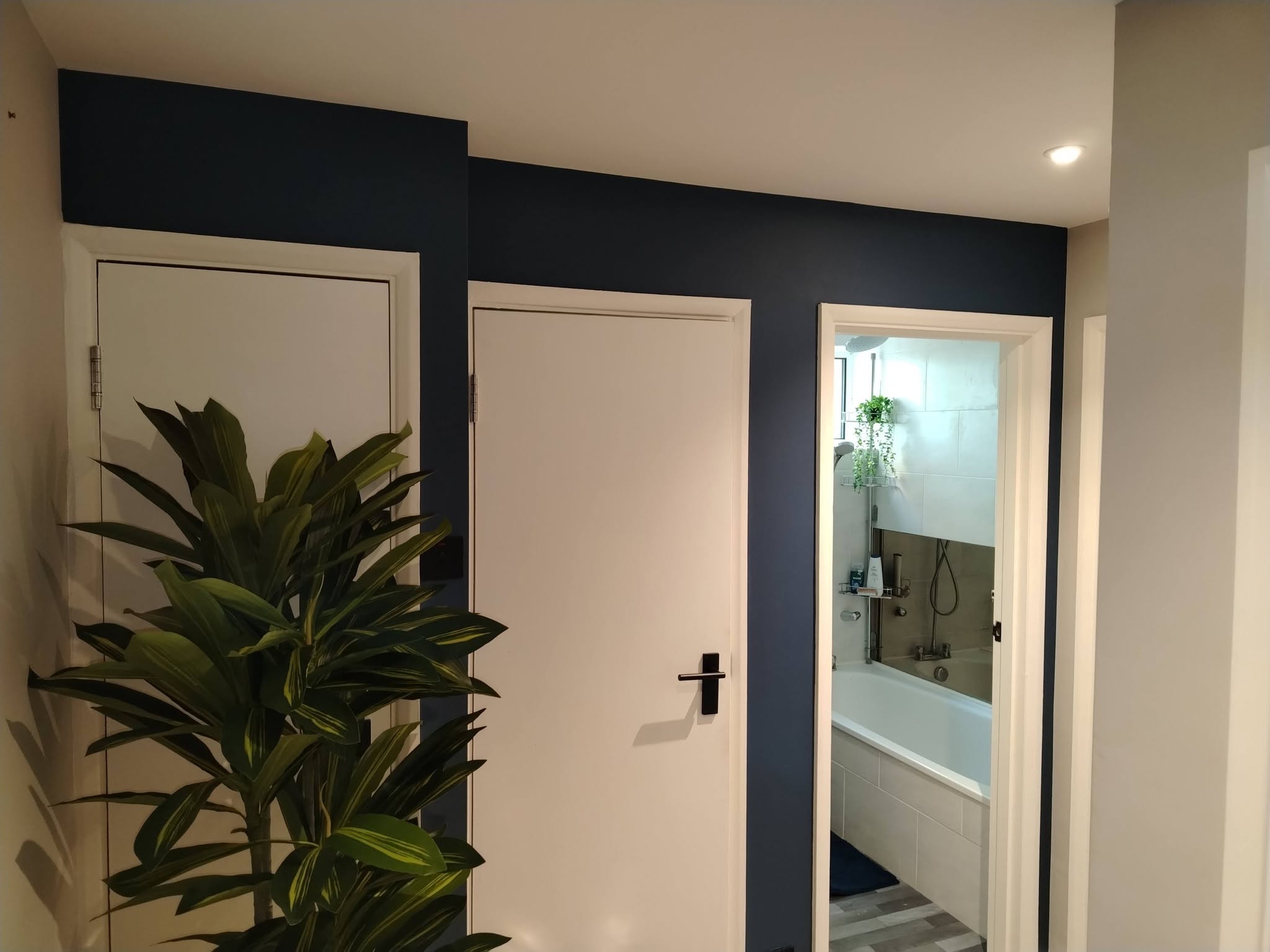Navy feature wall painted around white doors