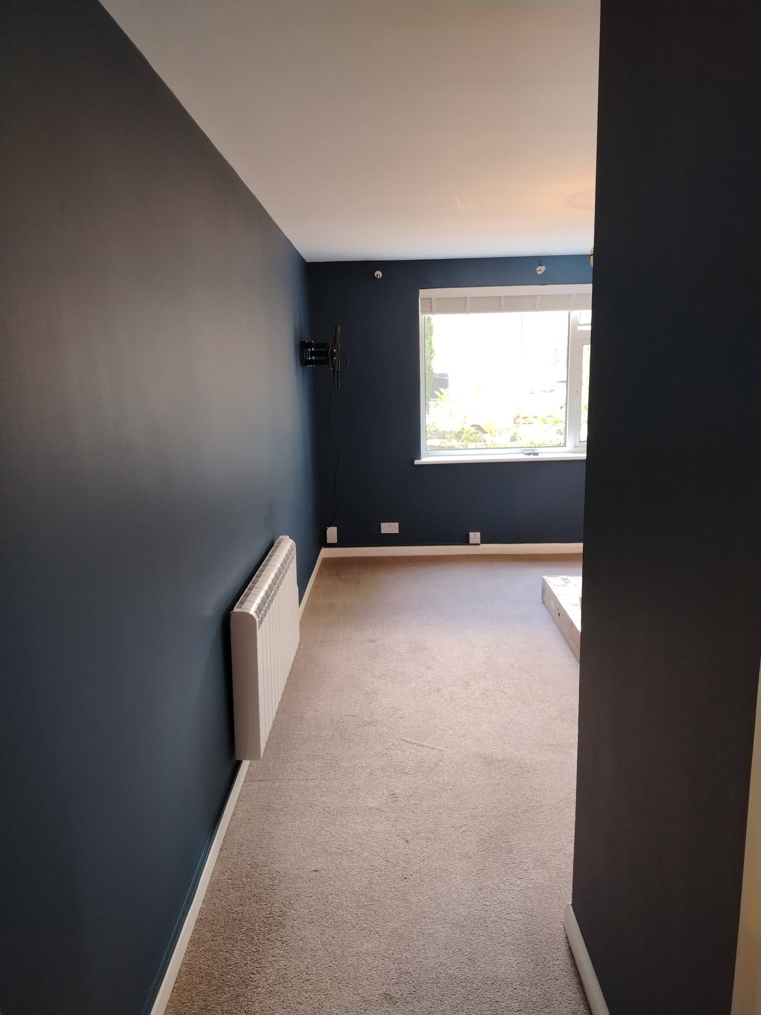 Room painted in deep navy