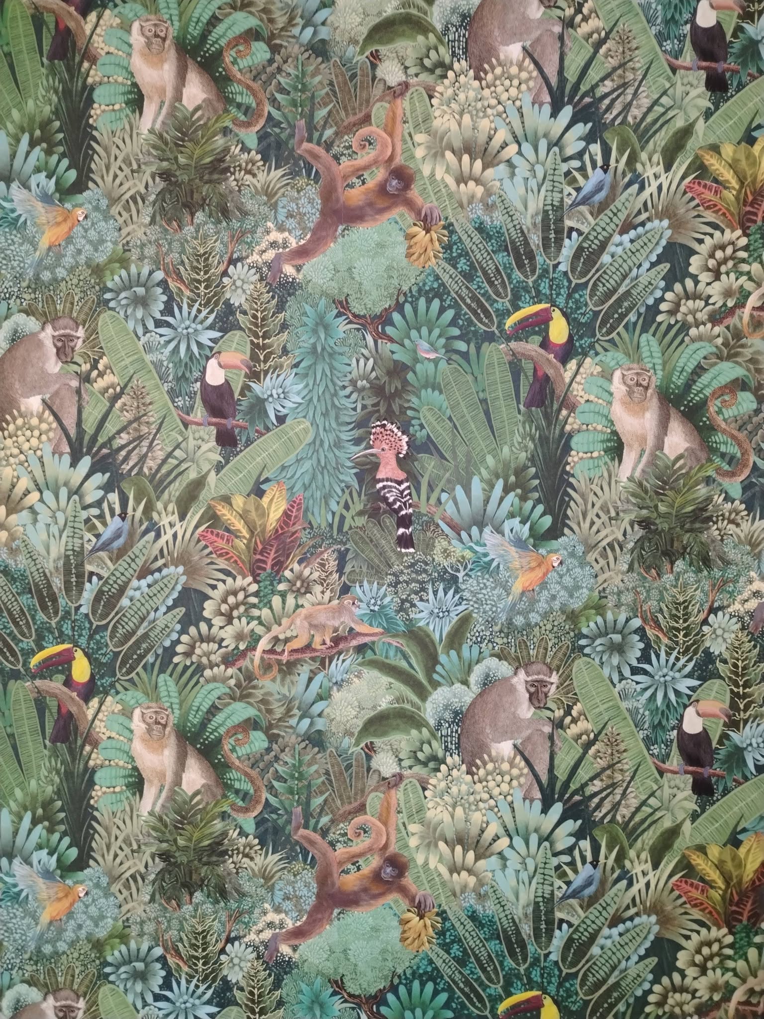 Close-up of a jungle-print wallpaper with monkeys and toucans